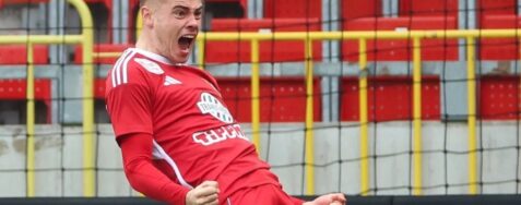 Újjáéledt főnixmadár